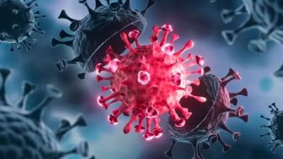 અમદાવાદમાં કોરોનાના વધુ 11 પોઝિટિવ કેસ નોંધાયા, 7 પુરુષ અને 4 મહિલાના રિપોર્ટ પોઝિટિવ