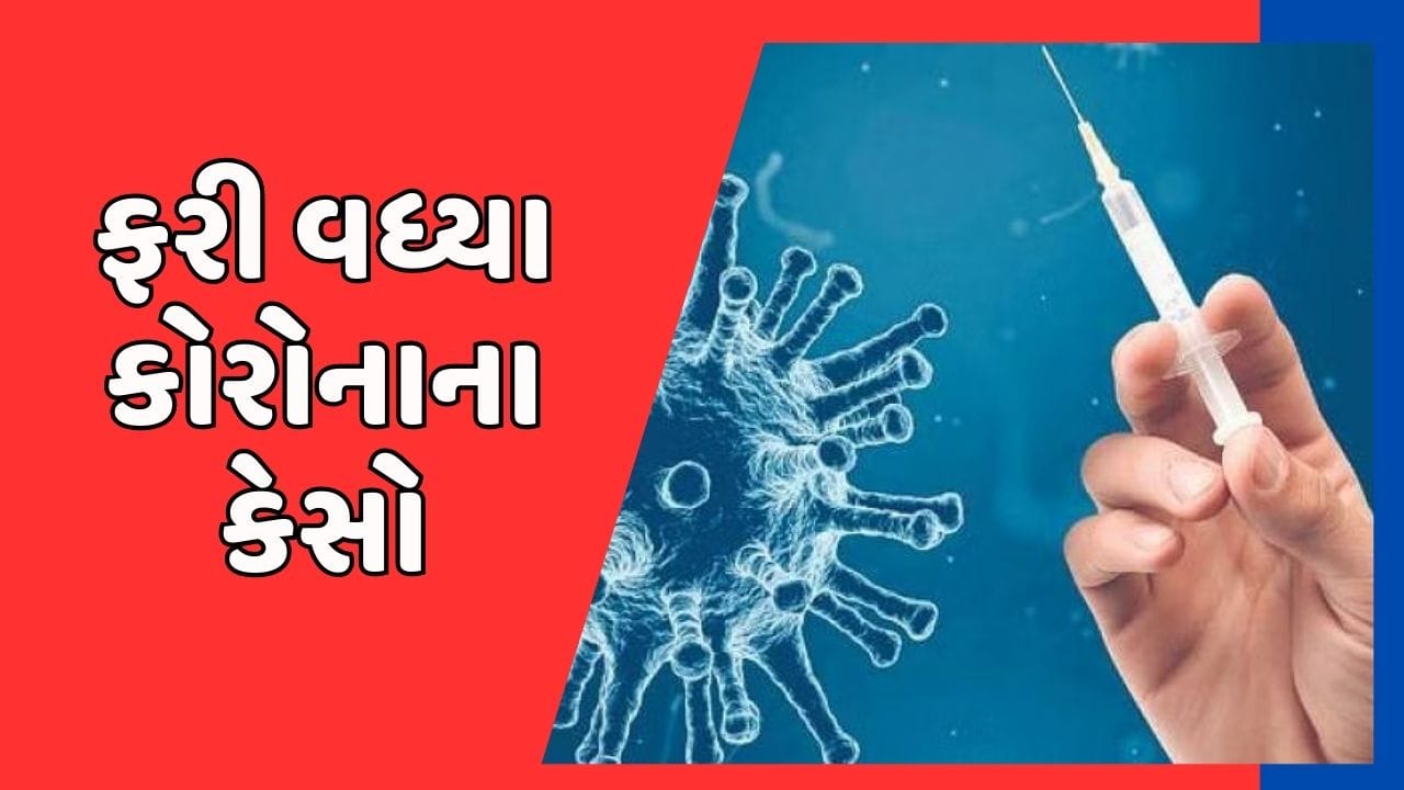 અમદાવાદમાં ફરી કોરોનાનો તાંડવ શરૂ ! એક જ દિવસમાં નોંધાયા 21 પોઝિટિવ કેસ, જાણો ક્યા વિસ્તારમાં નોંધાયા નવા કેસ અમદાવાદમાં ફરી કોરોનાનો તાંડવ શરૂ ! એક જ દિવસમાં નોંધાયા 21 પોઝિટિવ કેસ, જાણો ક્યા વિસ્તારમાં નોંધાયા નવા કેસ