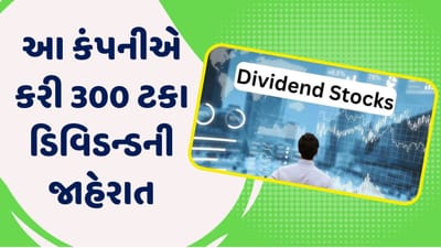 આ તારીખ પહેલા ખરીદો હિન્દુસ્તાન ઝિંકના શેર, કંપનીએ કરી 300 ટકા ડિવિડન્ડની જાહેરાત