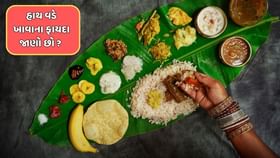 હાથ વડે ખાવાના ફાયદા જાણી રહી જશો દંગ, ક્યારે ચમચીનો ઉપયોગ નહીં કરો હાથ વડે ખાવાના ફાયદા જાણી રહી જશો દંગ, ક્યારે ચમચીનો ઉપયોગ નહીં કરો