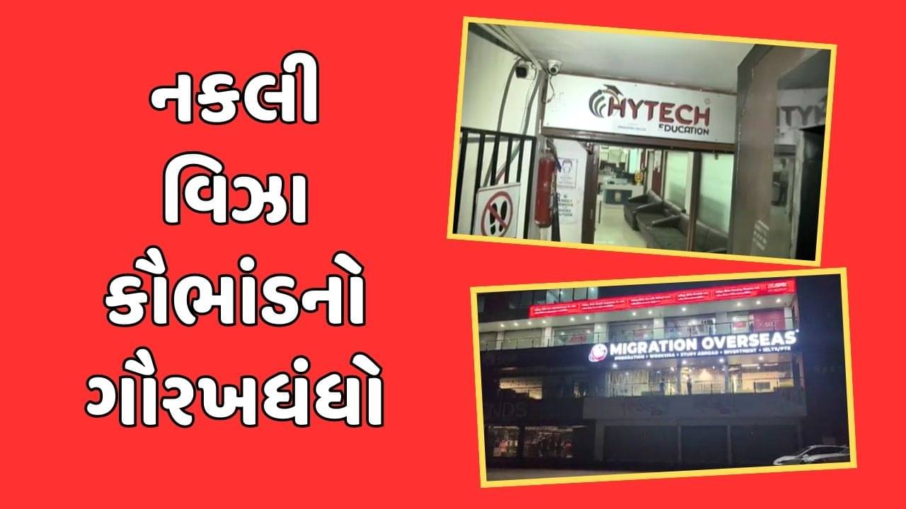 અમદાવાદ : કબૂતરબાજી કરતી કન્સલ્ટન્સી પર CID ક્રાઇમના દરોડા,બે ટ્રક ભરીને સામાન જપ્ત, જુઓ વીડિયો