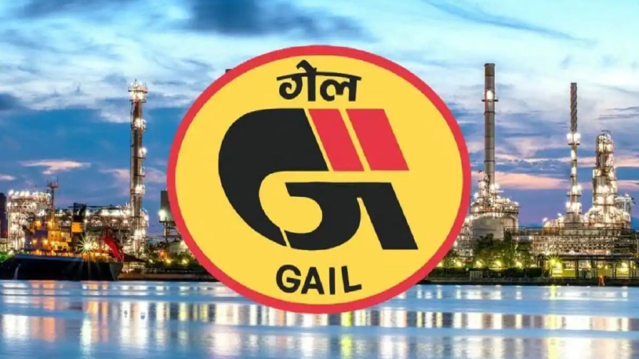 GAIL ઈન્ડિયા લિમિટેડ પહેલા ગેસ ઓથોરિટી ઓફ ઇન્ડિયા લિમિટેડ તરીકે ઓળખાતી હતી. આ કંપની ભારત સરકારના પેટ્રોલિયમ અને કુદરતી ગેસ મંત્રાલયની માલિકી હેઠળનું કેન્દ્રીય જાહેર ક્ષેત્રનું સાહસ છે. તેમાં નેચરલ ગેસ, લિક્વિફાઇડ નેચરલ ગેસ, લિક્વિડ હાઇડ્રોકાર્બન, લિક્વિફાઇડ પેટ્રોલિયમ ગેસ ટ્રાન્સમિશન, પેટ્રોકેમિકલ્સ, સિટી ગેસ ડિસ્ટ્રિબ્યુશન, સોલાર અને વિન્ડ સહિત રિન્યુએબલ એનર્જી, એક્સ્પ્લોરેશન અને પ્રોડક્શન, ગેઇલટેલ અને વીજળી ઉત્પાદન બિઝનેસનો સમાવેશ થાય છે.