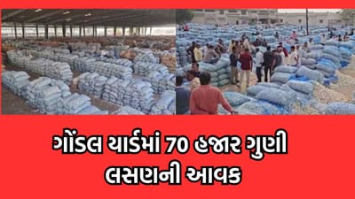 રાજકોટ: ગોંડલ યાર્ડમાં 70 હજાર ગુણી લસણની આવક થતા યાર્ડમાં હરાજી બંધ કરવાની પડી ફરજ- જુઓ વીડિયો