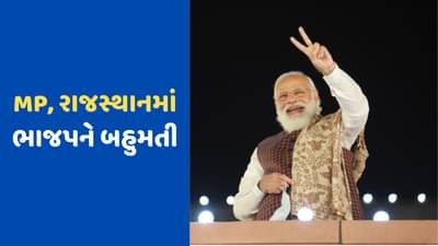 મધ્ય પ્રદેશ અને રાજસ્થાનમાં ચૂંટણી કમિશને ભાજપને આપી બહુમતી