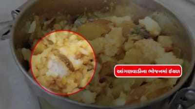 ભાવનગર સમાચાર : રુવા ગામની આંગણવાડીમાં પીરસાતા ભોજનમાં ઈયળ નીકળી, જુઓ વીડિયો