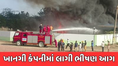 કચ્છ : મુંદ્રાની ખાનગી કંપનીમાં લાગી ભીષણ આગ, જુઓ વીડિયો