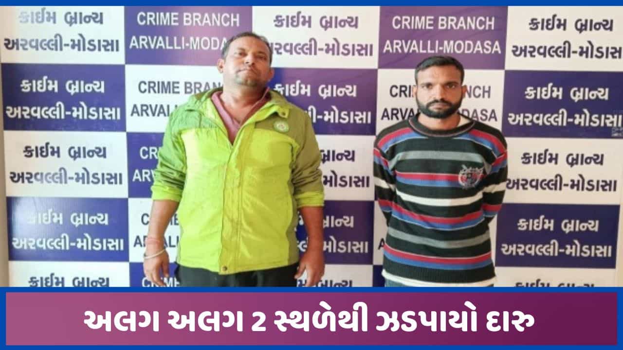 થર્ટી ફર્સ્ટને લઈ દારુની હેરાફેરી પર પોલીસની બાજ નજર, શામળાજી નજીકથી ઝડપાયો જથ્થો