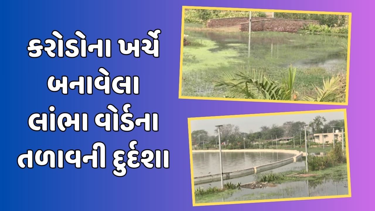 અમદાવાદ વીડિયો : 4.56 કરોડના ખર્ચે બનાવેલા લાંભા વોર્ડના તળાવની દુર્દશા, વોક વે અને પ્લે એરિયા પાણીમાં ગરકાવ