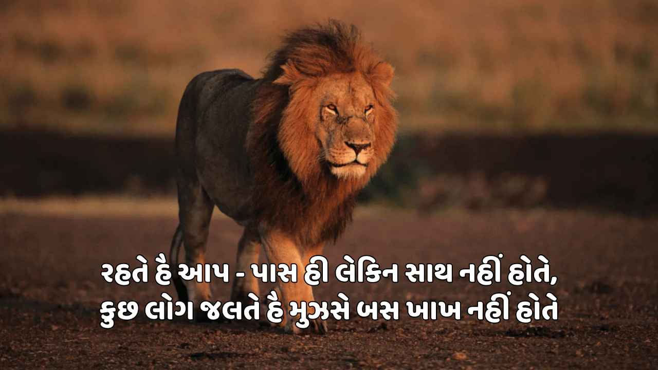 રહતે હૈ આપ - પાસ હી લેકિન સાથ નહીં હોતે, કુછ લોગ જલતે હૈ મુઝસે બસ ખાખ નહીં હોતે