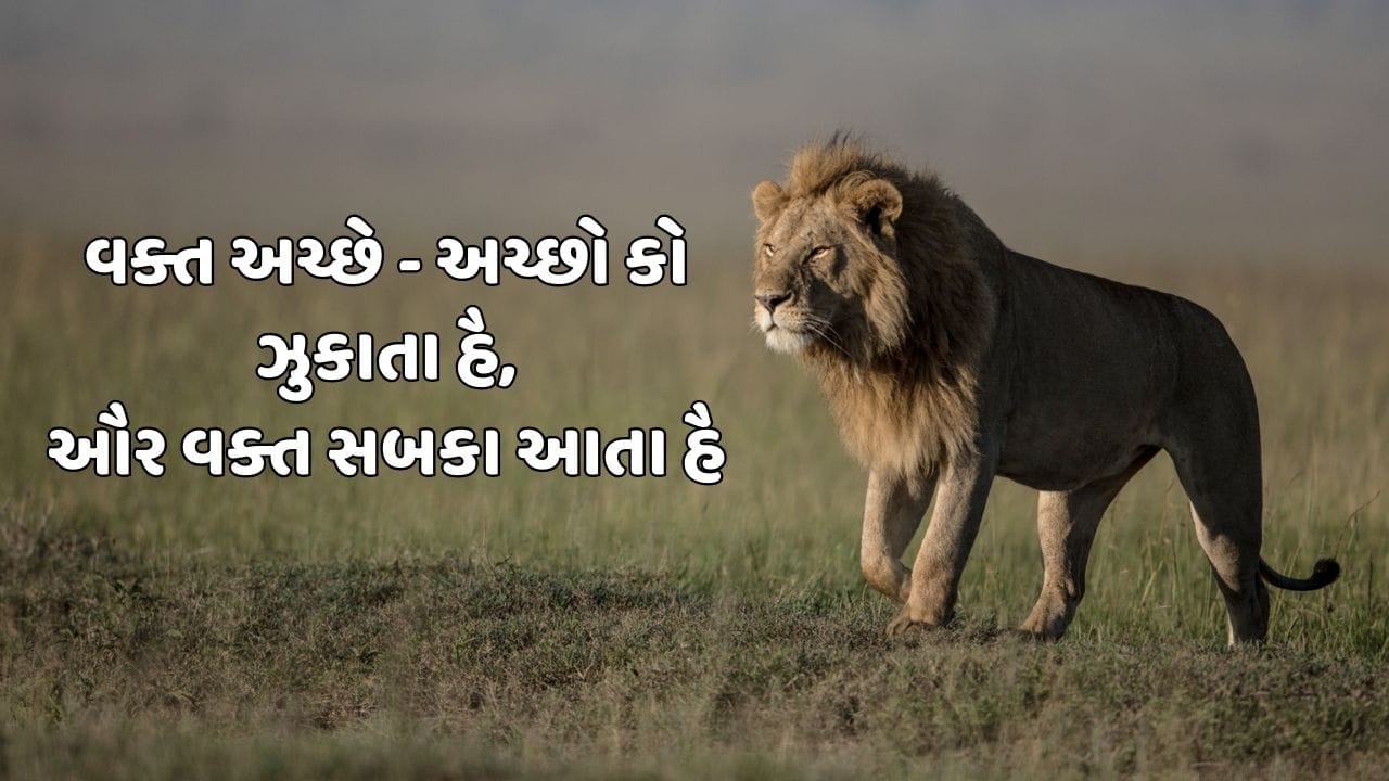 વક્ત અચ્છે - અચ્છો કો ઝુકાતા હૈ, ઔર વક્ત સબકા આતા હૈ