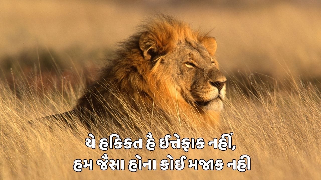 યે હકિકત હૈ ઈત્તેફાક નહીં, હમ જૈસા હોના કોઈ મજાક નહી