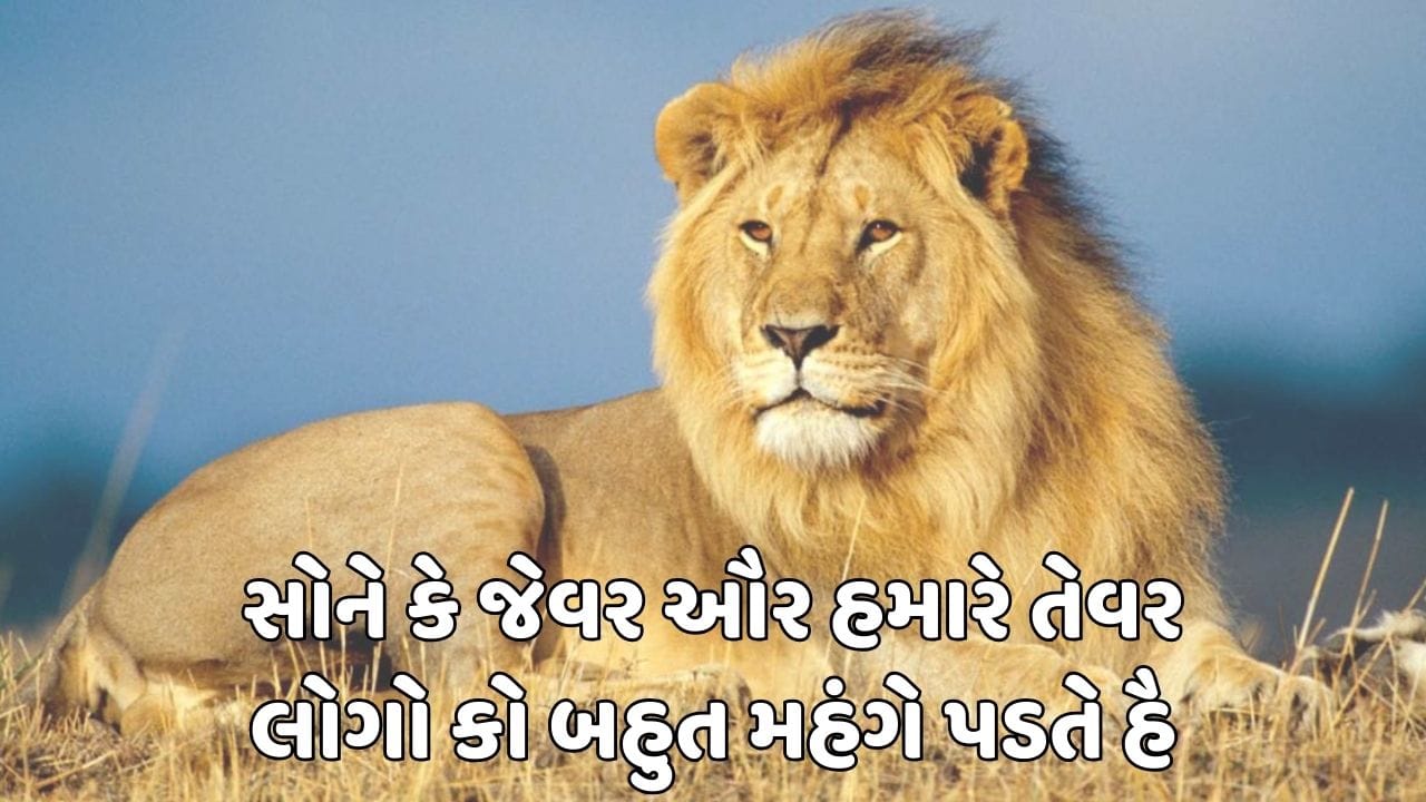 સોને કે જેવર ઔર હમારે તેવર લોગો કો બહુત મહંગે પડતે હૈ