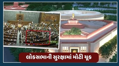 22 વર્ષ બાદ ફરી લોકસભાની સુરક્ષામાં મોટી ચૂક, બે વ્યક્તિ ગૃહની કાર્યવાહીમાં ઘૂસી ગયા, જુઓ વીડિયો