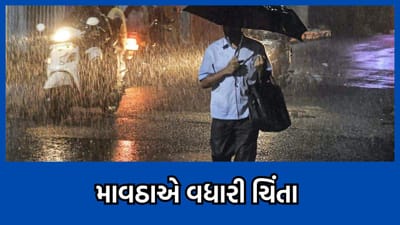 રાજ્યમાં માવઠાની સ્થિતિએ ખેડૂતોની વધારી ચિંતા, સૌરાષ્ટ્ર, મધ્ય ગુજરાત અને ઉત્તર ગુજરાતમાં કમોસમી વરસાદ- વીડિયો