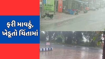રાજ્યમાં ફરી માવઠું, મહીસાગર જિલ્લાના ગ્રામ્ય વિસ્તારોમાં ધીમી ધારે વરસાદ, જુઓ વીડિયો