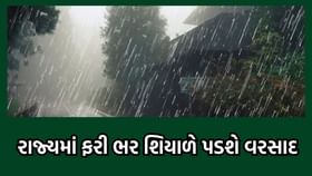 રાજ્યમાં ફરી સાત દિવસ સુધી માવઠાની આગાહી, ધરતીપુત્રોની વધી ચિંતા રાજ્યમાં ફરી સાત દિવસ સુધી માવઠાની આગાહી, ધરતીપુત્રોની વધી ચિંતા