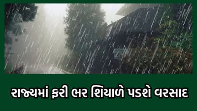 હવામાન વિભાગની આગાહી મુજબ રાજ્યમાં ફરી એકવાર સાત દિવસ રહેશે માવઠાની સ્થિતિ, કાતિલ ઠંડી પડવાની સંભાવના- વીડિયો હવામાન વિભાગની આગાહી મુજબ રાજ્યમાં ફરી એકવાર સાત દિવસ રહેશે માવઠાની સ્થિતિ, કાતિલ ઠંડી પડવાની સંભાવના- વીડિયો