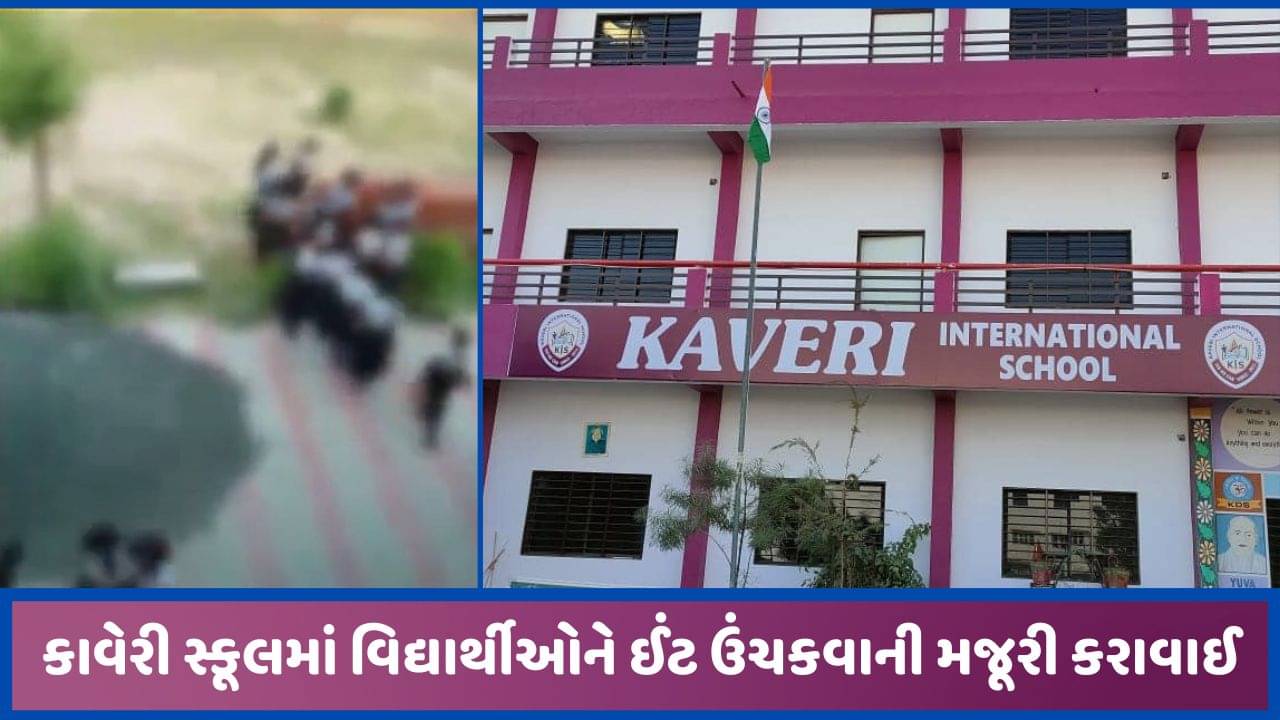 મહેસાણાની કાવેરી સ્કૂલમાં ભણતરને બદલે વિદ્યાર્થીઓ પાસે મજૂરી કામ! ઈંટ ઉંચકાવતા તપાસના આદેશ