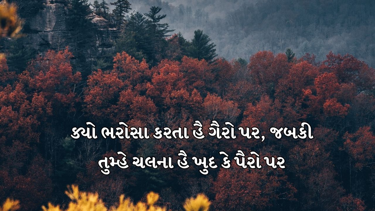 ક્યો ભરોસા કરતા હૈ ગૈરો પર, જબકી તુમ્હે ચલના હૈ ખુદ કે પૈરો પર 