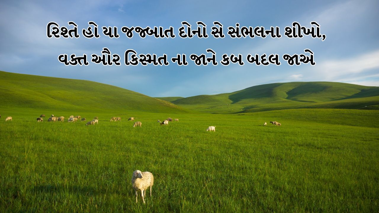 રિશ્તે હો યા જજ્બાત દોનો સે સંભલના શીખો, વક્ત ઔર કિસ્મત ના જાને કબ બદલ જાએ
