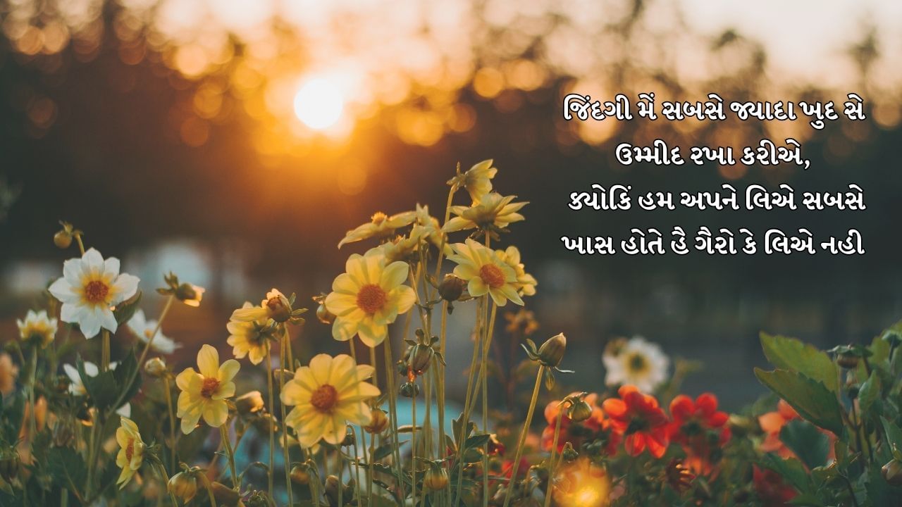 જિંદગી મેં સબસે જ્યાદા ખુદ સે ઉમ્મીદ રખા કરીએ, ક્યોકિં હમ અપને લિએ સબસે ખાસ હોતે હૈ ગૈરો કે લિએ નહી 