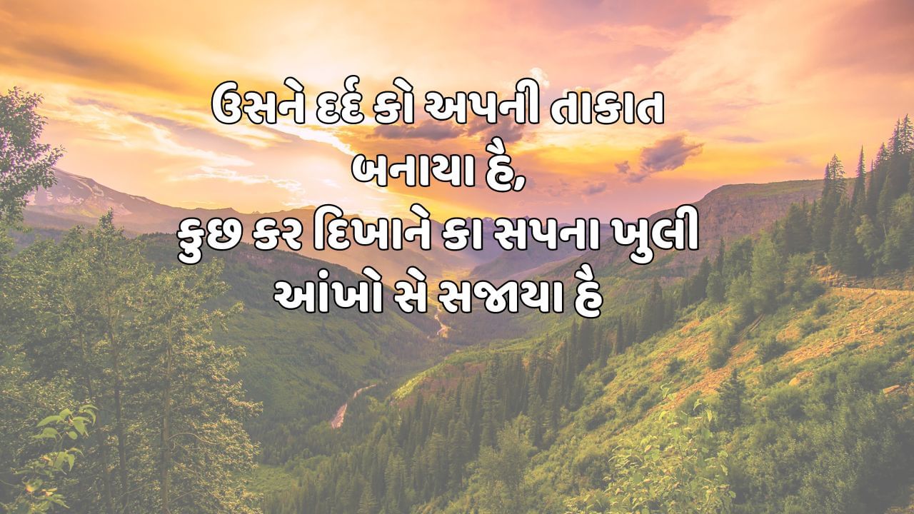 ઉસને દર્દ કો અપની તાકાત બનાયા હૈ,કુછ કર દિખાને કા સપના ખુલી આંખો સે સજાયા હૈ