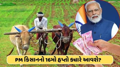 ખેડૂતોના આંદોલન વચ્ચે સારા સમાચાર આવ્યા, કરોડો ખેડૂતોના ખાતામાં પૈસા આવશે