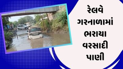 વડોદરા વીડિયો: શિનોરમાં રેલવે ગરનાળામાં વરસાદી પાણી ભરાયા, વાહનચાલકો પરેશાન વડોદરા વીડિયો: શિનોરમાં રેલવે ગરનાળામાં વરસાદી પાણી ભરાયા, વાહનચાલકો પરેશાન