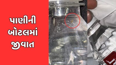 રાજકોટમાં મિનરલ વોટરના નામે આરોગ્ય સાથે ચેડાં, પાણીની બોટલમાંથી નીકળી જીવાત, જુઓ વીડિયો રાજકોટમાં મિનરલ વોટરના નામે આરોગ્ય સાથે ચેડાં, પાણીની બોટલમાંથી નીકળી જીવાત, જુઓ વીડિયો