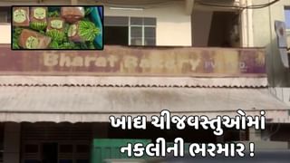 રાજકોટ વીડિયો : ભારત બેકરીની ખાદ્ય ચીજવસ્તુઓમાં ફરી ભેળસેળ, બેકરી સામે એડજુડિકેશન  કેસ દાખલ