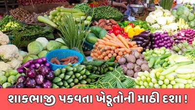 રાજકોટ વીડિયો : શાકભાજીના ભાવ તળિયે બેસી જતા ખેડૂતોને રાતા પાણીએ રડવાનો આવ્યો વારો રાજકોટ વીડિયો : શાકભાજીના ભાવ તળિયે બેસી જતા ખેડૂતોને રાતા પાણીએ રડવાનો આવ્યો વારો