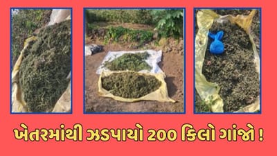 રાજકોટ વીડિયો : જસદણ-વિંછીયા પંથકમાંથી ઝડપાયો 200 કિલો ગાંજો, બે શખ્સની ધરપકડ