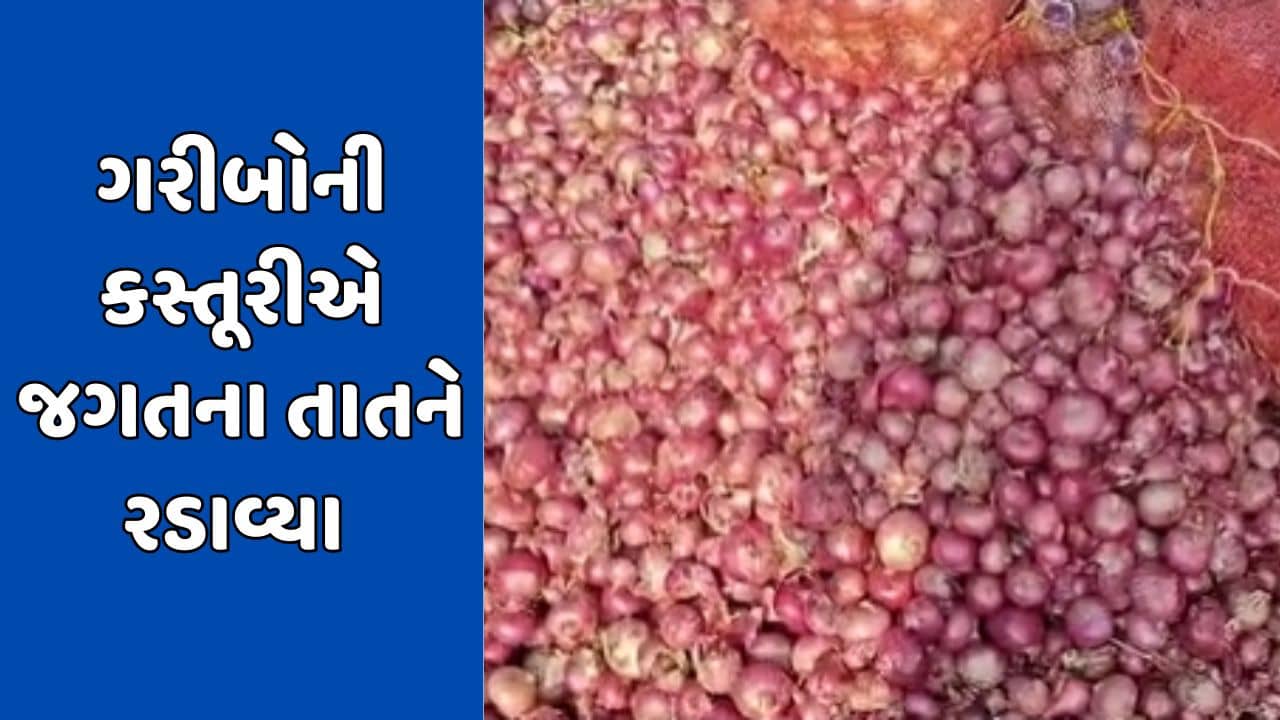 રાજકોટ સમાચાર : કેન્દ્ર સરકારે ડુંગળીની નિકાસ પર પ્રતિબંધ લગાવતા ખેડૂતોમાં જોવા મળ્યો રોષ, વીડિયોમાં સાંભળો શું કહ્યું જગતના તાતે