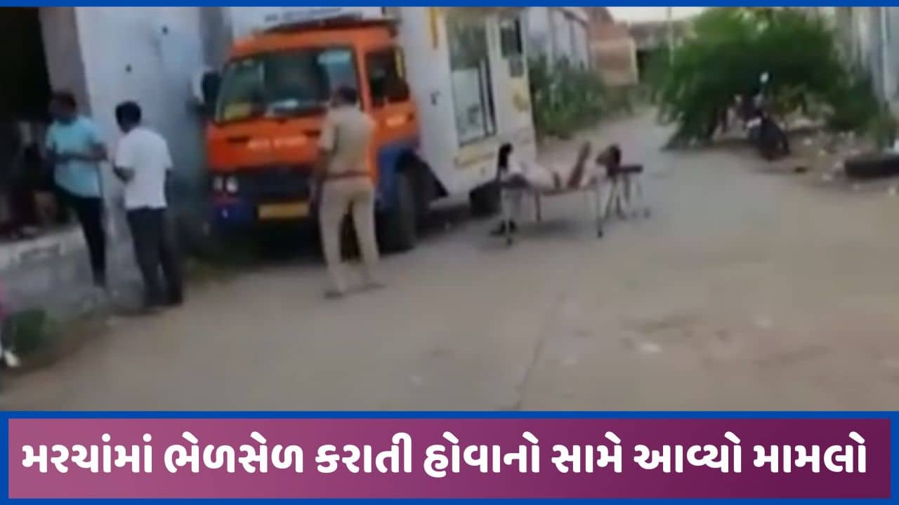 મહેસાણાના વીજાપુરના મરચાંના લેવાયેલ સેમ્પલ ફેલ, ભેળસેળને લઈ 10.45 લાખનો જથ્થો જપ્ત