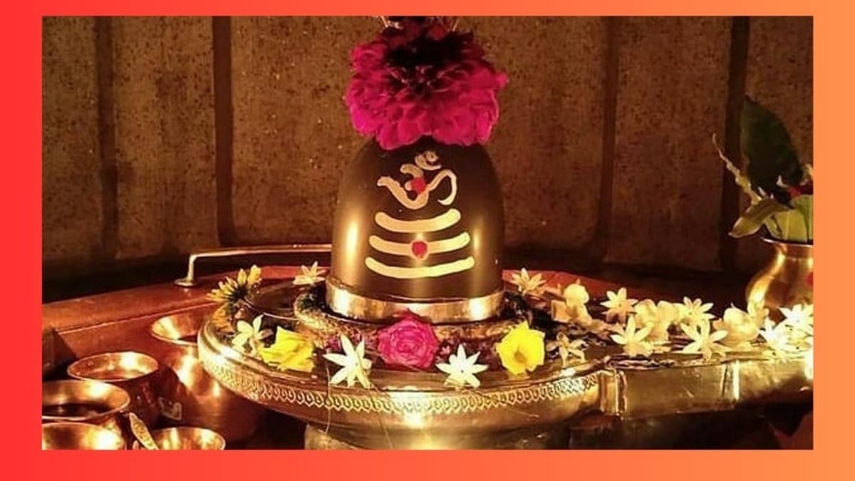 શિવ પૂજા : શિવલિંગ પર ભુલથી પણ ન ચઢાવો આ 7 વસ્તુ, નહીં તો ભોલેનાથ થશે નારાજ