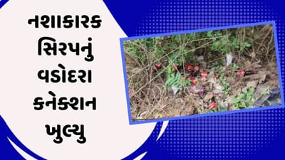 ખેડા : બિલોદરાના સિરપકાંડનું વડોદરા કનેક્શન સામે આવ્યુ, કુલ પાંચ લોકો સામે ગુનો નોંધવામાં આવ્યો, જુઓ વીડિયો