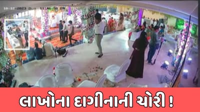 વલસાડ સમાચાર : લગ્ન મંડપમાંથી લાખોના દાગીનાની બેગ લઈ ચોર ફરાર, જુઓ CCTV વીડિયો