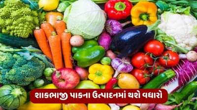 શાકભાજીના પાકના ઉત્પાદનમાં થશે વધારો, ખેડૂતો પાકમાં રોગ-જીવાતના નિયંત્રણની સાથે કરો આ ખેતી કાર્યો