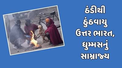 ગુજરાત સહિત દેશભરમાં ગાત્રો થીજવતી ઠંડીનો અનુભવ, ધુમ્મસથી પરેશાન થયા વાહનચાલકો