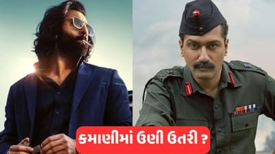 એનિમલ અને શામ બહાદુરની કમાણી મામલે રણબીર અને વિક્કી બંને હાંફી ગયા ! 7 મા દિવસે જાણો બંનેની હાલત