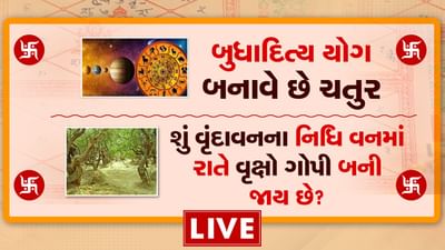 કુંડળીમાં બનતો બુધાદિત્ય યોગ બનાવે છે ચતુર, જાણો વૃંદાવનના નિધિ વનમાં રાત કેમ નથી રોકાઈ શકાતુ, જુઓ વિડિયો