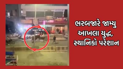 જુનાગઢમાં આખલાનો આતંક યથાવત, ઝાંઝરડા ચોકડી પાસે બે આખલા બાખડતા સ્થાનિકો ભયભીત- વીડિયો જુનાગઢમાં આખલાનો આતંક યથાવત, ઝાંઝરડા ચોકડી પાસે બે આખલા બાખડતા સ્થાનિકો ભયભીત- વીડિયો