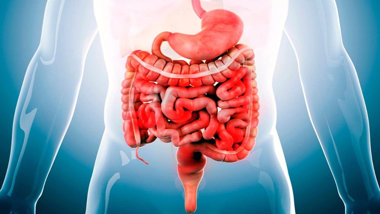 પરંતુ શું તમે જાણો છો કે આપણી કેટલીક આદતો આપણા પાચનતંત્રને બીમાર બનાવે છે. તેથી, આ આદતોને બદલીને આપણે રોગોથી બચી શકીએ છીએ. કારણ કે જો આપણે હંમેશા સ્વસ્થ રહેવું હોય તો આપણા માટે આપણા પાચનતંત્રને સ્વસ્થ રાખવું ખૂબ જ જરૂરી છે.