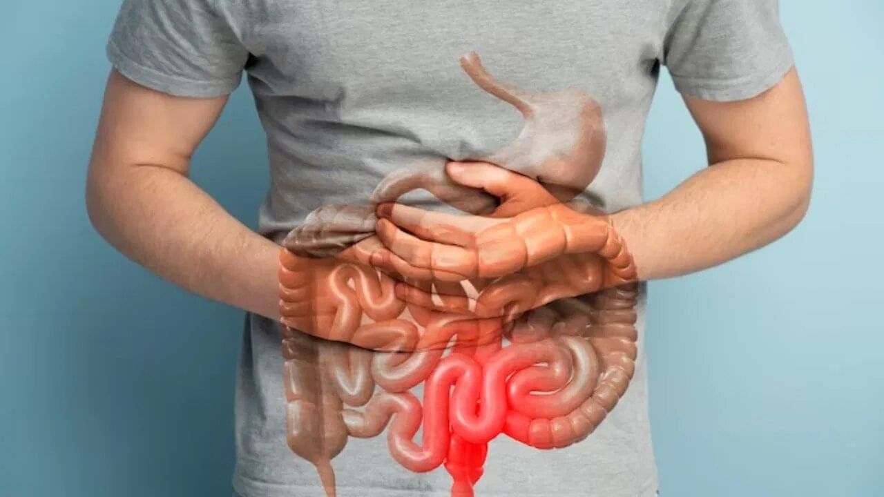 તમે ખોરાકને યોગ્ય રીતે ચાવી શકતા નથી. જેના કારણે ખોરાક પચવામાં તકલીફ થાય છે. તે જ સમયે, જ્યારે તમે તમારા ખોરાકને સારી રીતે ચાવો છો, ત્યારે તે તમારા પાચન તંત્રનું કામ સરળ બનાવે છે. તેથી, જમતી વખતે, ખોરાકને યોગ્ય રીતે અને ધીમે ધીમે ચાવો. ભોજન સમાપ્ત કરવામાં ઉતાવળ ન કરો કારણ કે તેનાથી અપચો થઈ શકે છે.