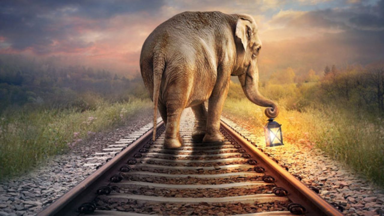  કેન્દ્રીય રેલ્વે મંત્રી અશ્વિની વૈષ્ણવે કહ્યું કે આ AI આધારિત સિસ્ટમ પ્રથમ તબક્કામાં તમિલનાડુ, પશ્ચિમ બંગાળ, ઓડિશા, ઝારખંડ, આસામ, કેરળ અને છત્તીસગઢ રાજ્યોમાં તૈનાત કરવામાં આવશે. રેલ્વેના જણાવ્યા અનુસાર, આ ટેક્નોલોજી આ વિસ્તારોમાં 700 કિલોમીટરથી વધુ રેલ્વે પર લગાવવામાં આવશે.