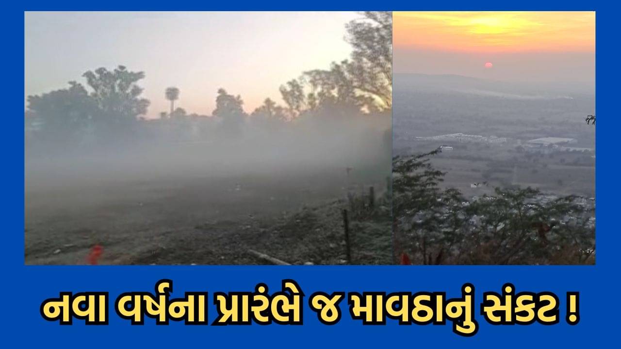 અંબાલાલની આગાહી-ગુજરાત પર ફરી માવઠાનું સંકટ, નવા વર્ષના પ્રારંભે સૌરાષ્ટ્ર અને મધ્ય ગુજરાતમાં કમોસમી વરસાદ પડવાની શક્યતા