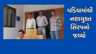 અમરેલી: વડિયામાંથી નશાયુક્ત આયુર્વેદિક સિરપની 280 બોટલ ઝડપાઈ, એક આરોપીની કરાઈ અટકાયત