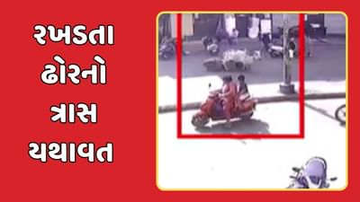 જામનગર વીડિયો  : પંચેશ્વર ટાવર પાસે રખડતા ઢોરે સ્કૂટર ચાલકને લીધો અડફેટે, CCTVમાં કેદ થયા દ્રશ્યો