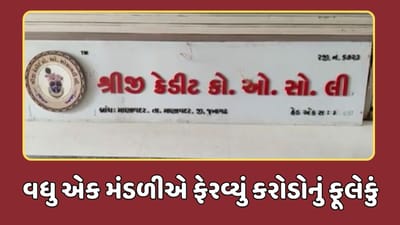 જૂનગાઢ વીડિયો : વધુ એક મંડળીએ ફેરવ્યું કરોડોનું ફૂલેકું, અનેકવાર પોલીસને રજૂઆત કર્યાનો ખાતેદારોનો દાવો