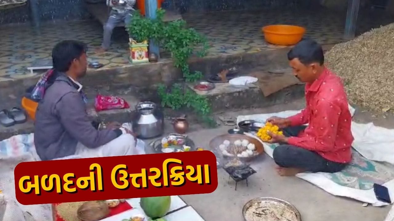 junagadh visavadar farmer showed love for his bull death (1)